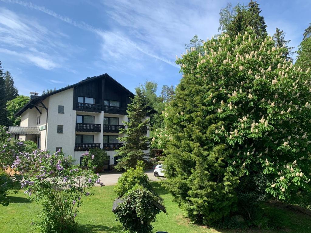 Landhaus Am Forst Bad Alexandersbad Kültér fotó