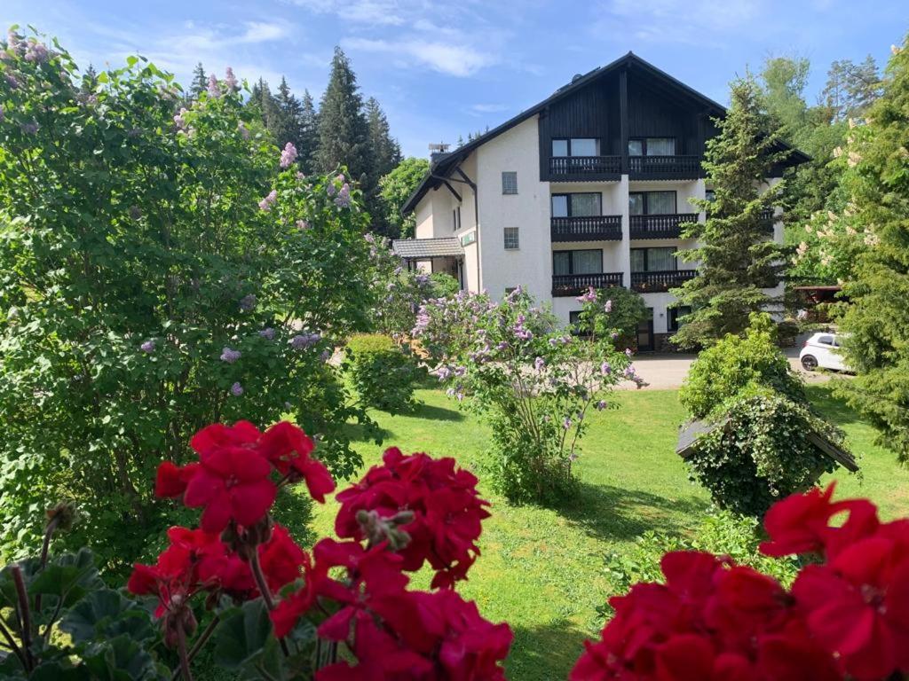 Landhaus Am Forst Bad Alexandersbad Kültér fotó