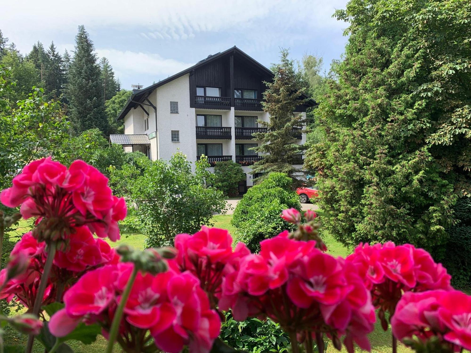 Landhaus Am Forst Bad Alexandersbad Kültér fotó